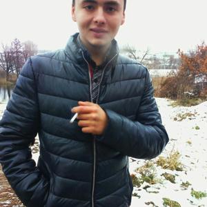 Андрей, 29 лет, Шебекино