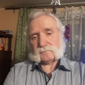 Виктор, 67 лет, Окуловка
