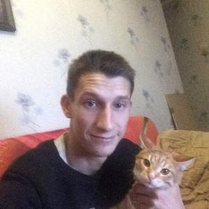 Павел, 32 года, Дмитров