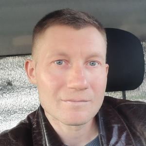 Матвей, 41 год, Кострома