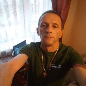 Миша, 46 лет, Краснозаводск