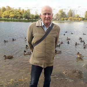 Парни в Санкт-Петербурге: Валентин, 75 - ищет девушку из Санкт-Петербурга