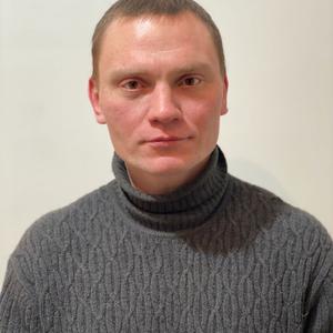 Андрей, 41 год, Норильск