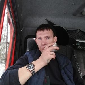 Сергей, 35 лет, Череповец