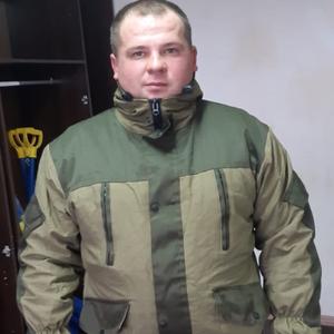 Михаил, 31 год, Курск