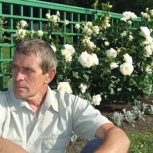 Владимир, 70 лет, Майкоп
