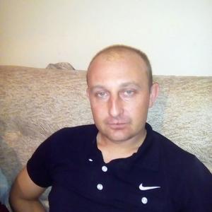 Дмитрий, 36 лет, Алтайский