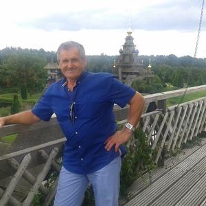 Николай Родин, 67 лет, Воронеж