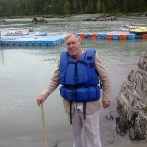 Юрий, 71 год, Томск
