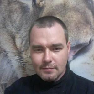 Антон, 41 год, Коркино