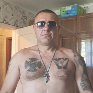 Дмитрий, 41 год, Пестово