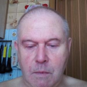 Евгений, 71 год, Щелково