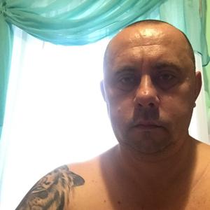 Дмитрий, 49 лет, Ярцево