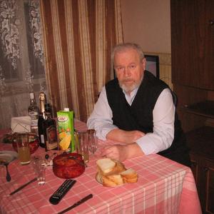Валерий, 74 года, Северодвинск