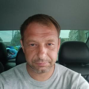Хочу Помяукать, 41 год, Ростов-на-Дону