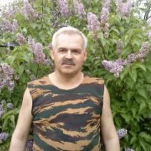 Алексей Гавриков, 60 лет, Брянск