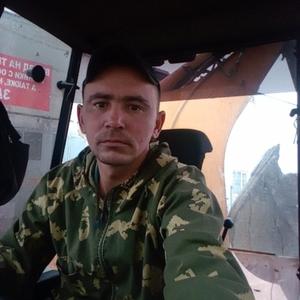 Serega, 34 года, Ижевск
