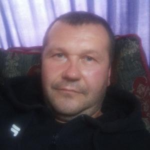 Андрей, 43 года, Шостка