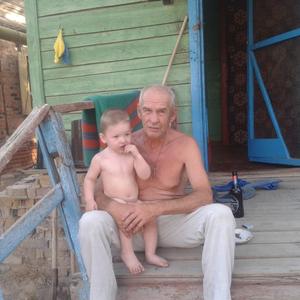 Виктор Алексеев, 72 года, Астрахань