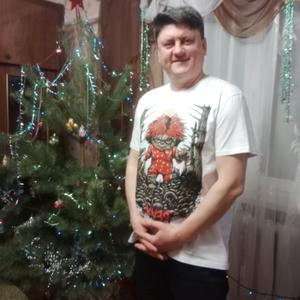 Сергей Подшеваленко, 41 год, Белгород