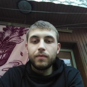 Андрей, 27 лет, Кировград