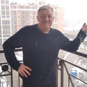 Михаил, 69 лет, Пенза