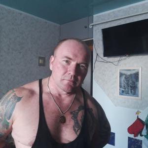 Сергей, 47 лет, Кременки