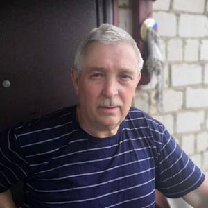 Алексей Колодкин, 63 года, Меленки
