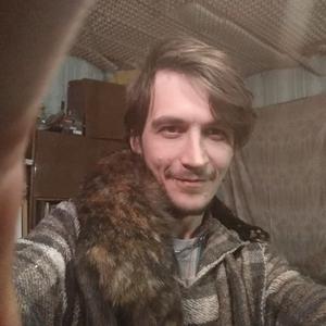 Димитрий, 38 лет, Великий Новгород