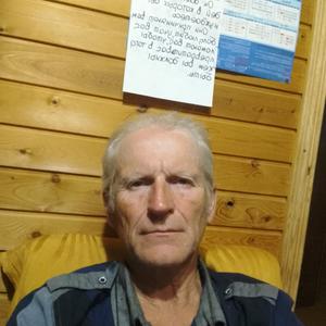Виктор, 65 лет, Тула