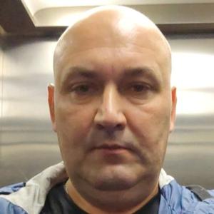 Oleg, 47 лет, Тула