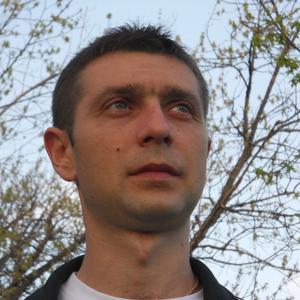 Виталий, 41 год, Курск