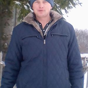 Алексей, 40 лет, Курск