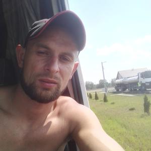 Николай, 35 лет, Белгород