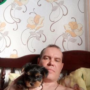 Вячеслав, 45 лет, Котлас