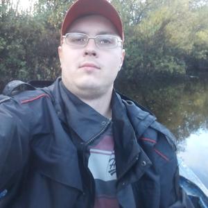 Анатолий, 33 года, Вологда