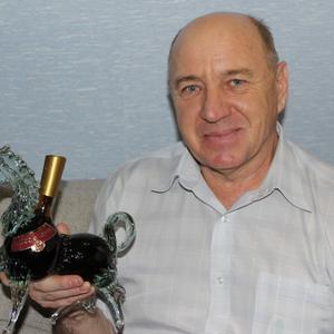 Евгений, 67 лет, Ульяновск