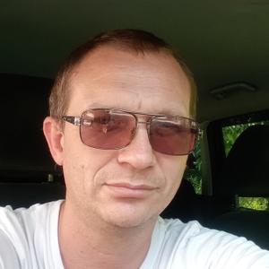 Роман, 43 года, Омск