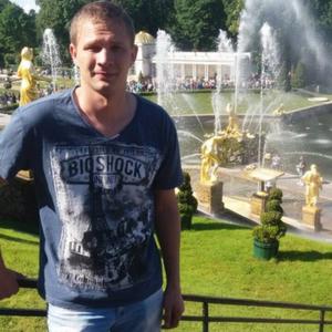 Дмитрий Кольцов, 36 лет, Балашиха