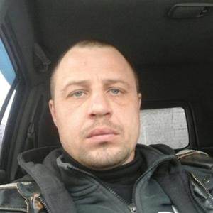 Юрий, 41 год, Белгород