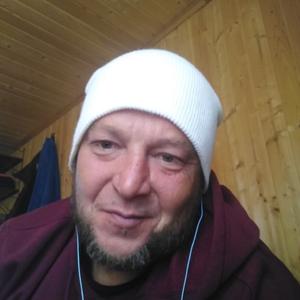 Олег, 49 лет, Тула