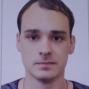 Дмитрий, 29 лет, Тула