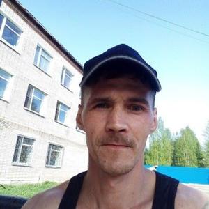 Алексей, 39 лет, Троицко-Печорск