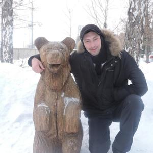 Андрей Серегин, 37 лет, Барнаул