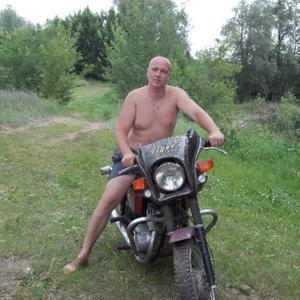 Александр Белкин, 41 год, Самара
