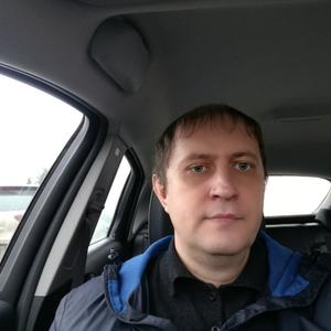 Sergey Tsvetkov, 46 лет, Одинцово