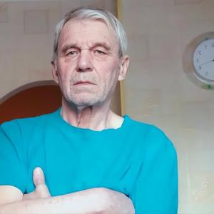 Александр, 73 года, Москва