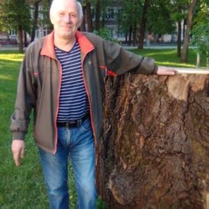 Роберт, 64 года, Пермь