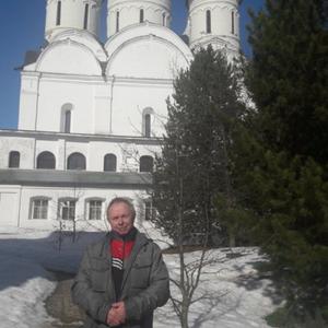 Николай Чагин, 74 года, Вологда
