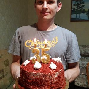Михаил, 37 лет, Сургут